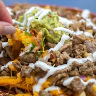 Carne DTLA Famous Asada Fries