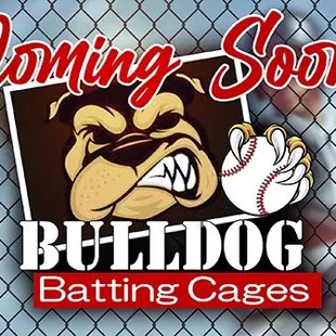 bulldog batting cases