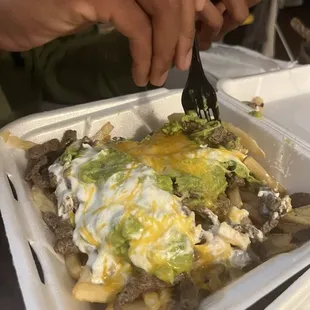 Carne asada fries