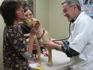 Rainbow Valley Veterinary Clinic