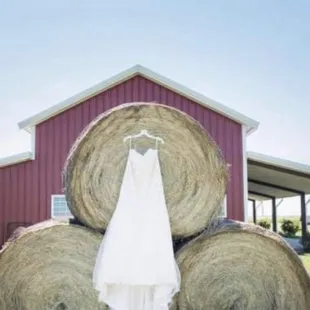 Wedding dress photo.