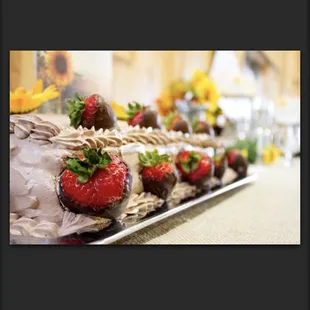 Cimarron Fields snapshots