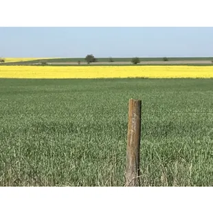 Catering at Cimarron Fields