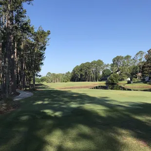 Beautiful opening to fairway from tee box.