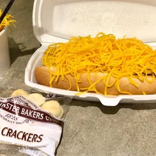 a hot dog covered in cheese