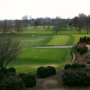 View from the dining area