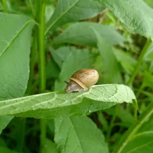 Keep eyes open for little guys