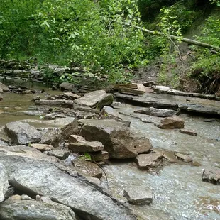 The creek was low, some of the hiking paths have you cross the creek