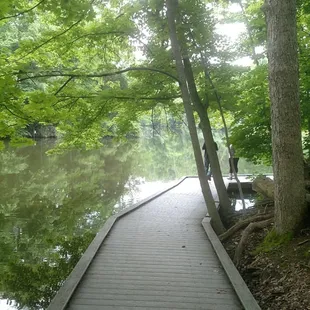 make sure to stop and feed the turtles be patient and quiet and maybe you&apos;ll see one of the big Turtles