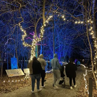 Entrance to the light path