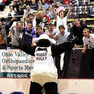 Our mascot, the Wooly Bully