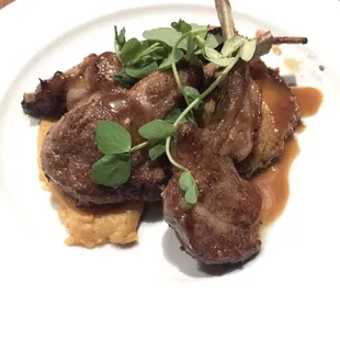 Lamb Lollipops