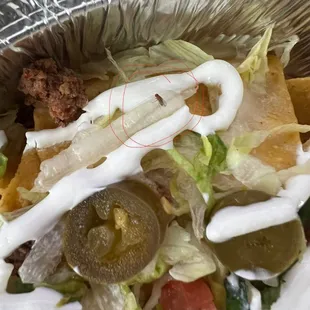Bean Nachos