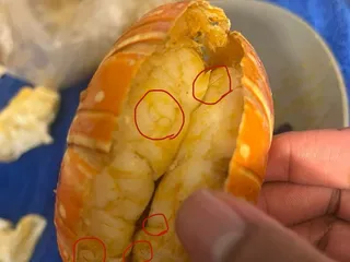 Cincy Seafood Colerain