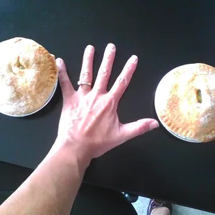See how big the fruit pies are!?