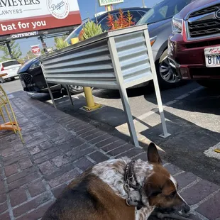 bagels, outside