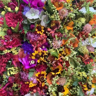 Colorful Traditional Haku (Limited Edition)