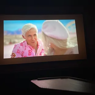 The screen Barbie and Ken