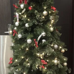 Christmas Tree 2023