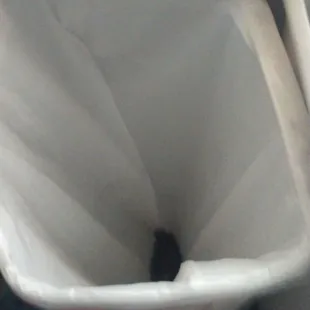 It&apos;s the only rotten smelly goat meat in the garbage. Must take outside.