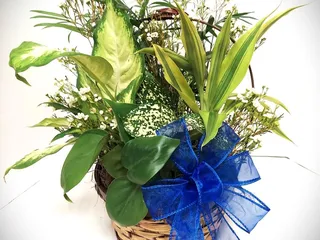 Poppy's Flowers and Gift Shop