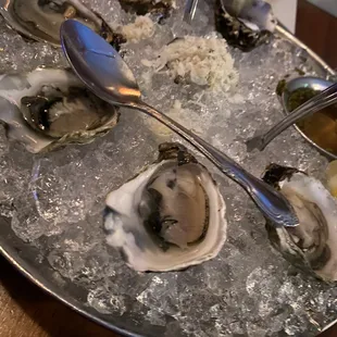 shellfish, oysters, oysters and mussels, mussels, food