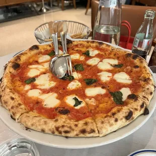 Margherita Pizza
