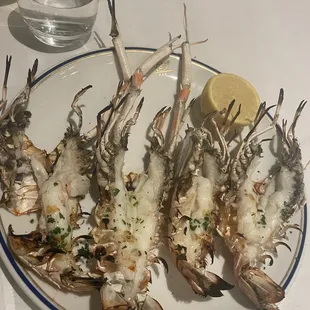 Langoustine Scampi " Al Forno