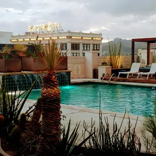 an outdoor pool with lounge chairs and palm trees