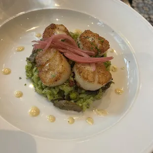 Seared Scallops