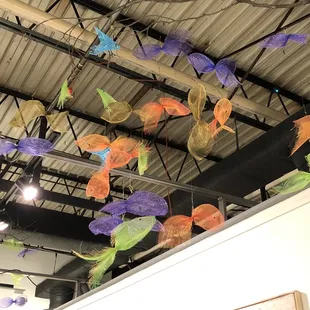 More of the Flock of Loons exhibit