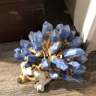 Hedgehog