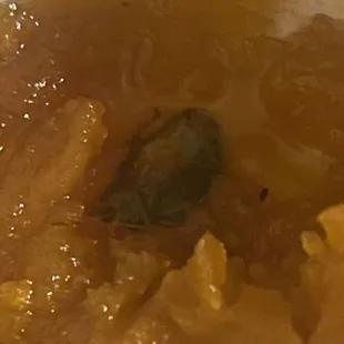 soup, soups and chowder, chowder, food