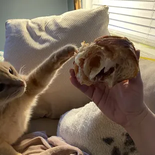 It was a huge hit with the whole household