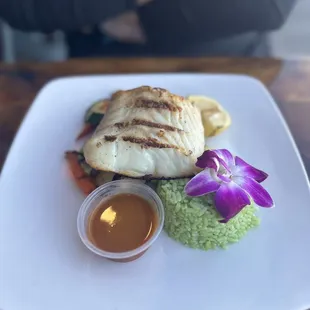 Halibut