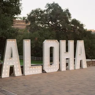 Rent custom pieces for the cocktail area @bigAZLetters  PC @cleverdisarray