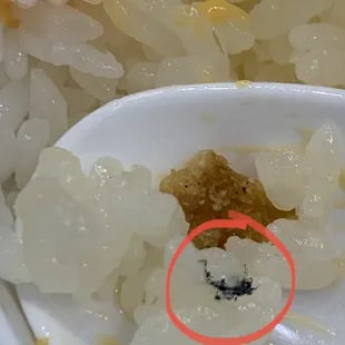 Black plastic/material stuck to my rice