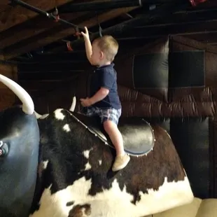 Photo op for the kids, real fun for the adults.