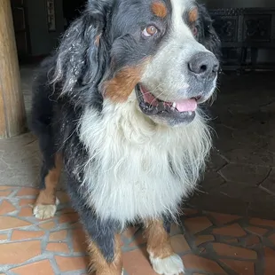 Friends around every corner