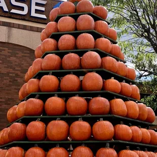 Circleville Pumpkin Show