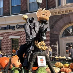 Pumpkin display