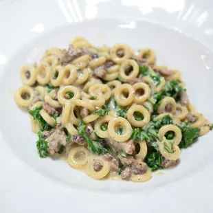 a plate of pasta with sausage and spinach