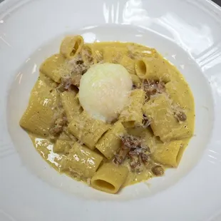 food, pasta, pasta dish