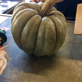 Specialty pumpkins $7.99