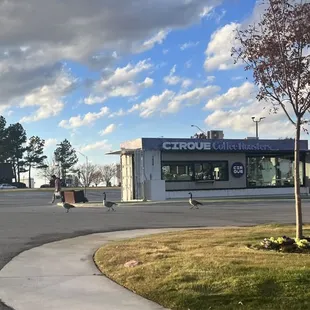 With a line like that it must be good!