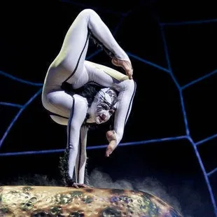 The contortionist spider was beautiful to watch.