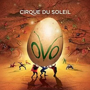 Cirque Du Soleil - Ovo