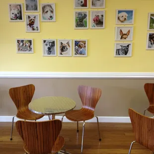 Lively fresh look unlike the blinding white tile and neon colors of other froyo shops. Also dog friendly!