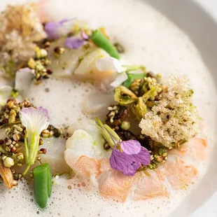 HOKKAIDO SCALLOP AND PRAWN Blue Lake Beans, Basil, Almond, Green Garlic