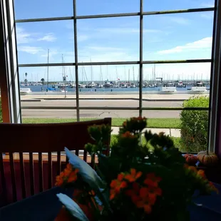 View of the docks from our table
